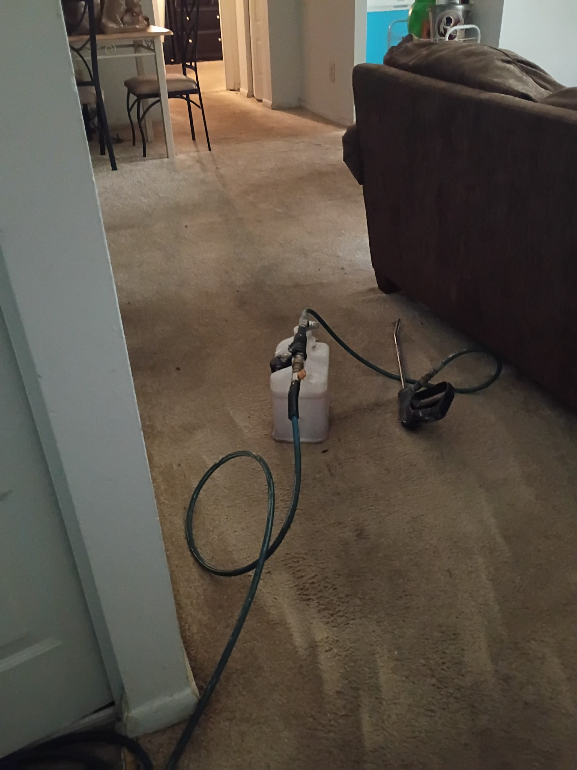 Carpet cleaning in progress