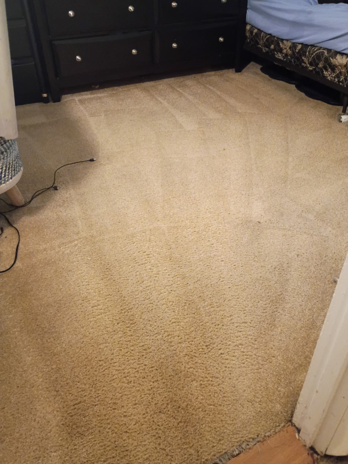 Freshly cleaned bedroom carpet