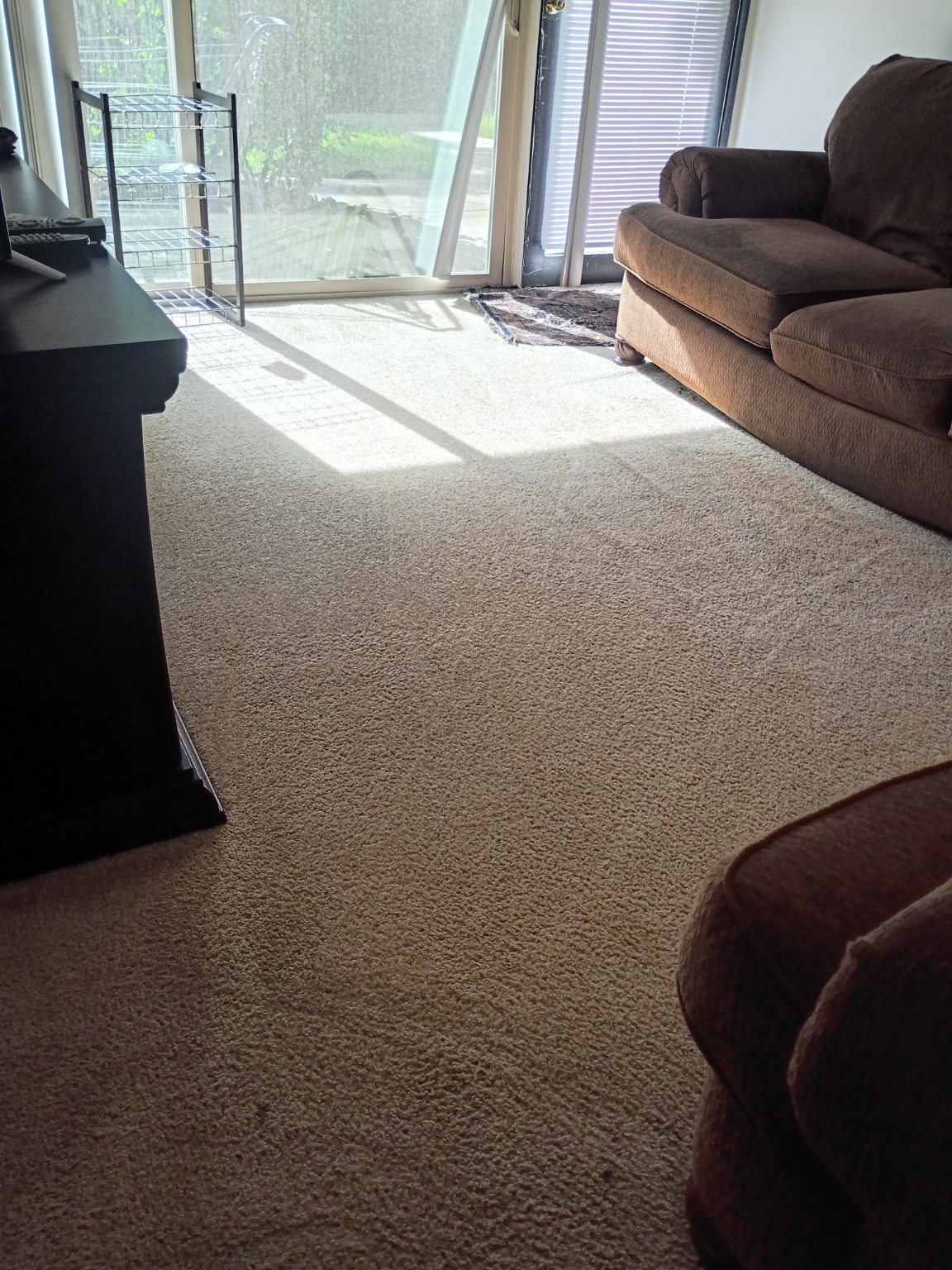 Cleaned living room carpet