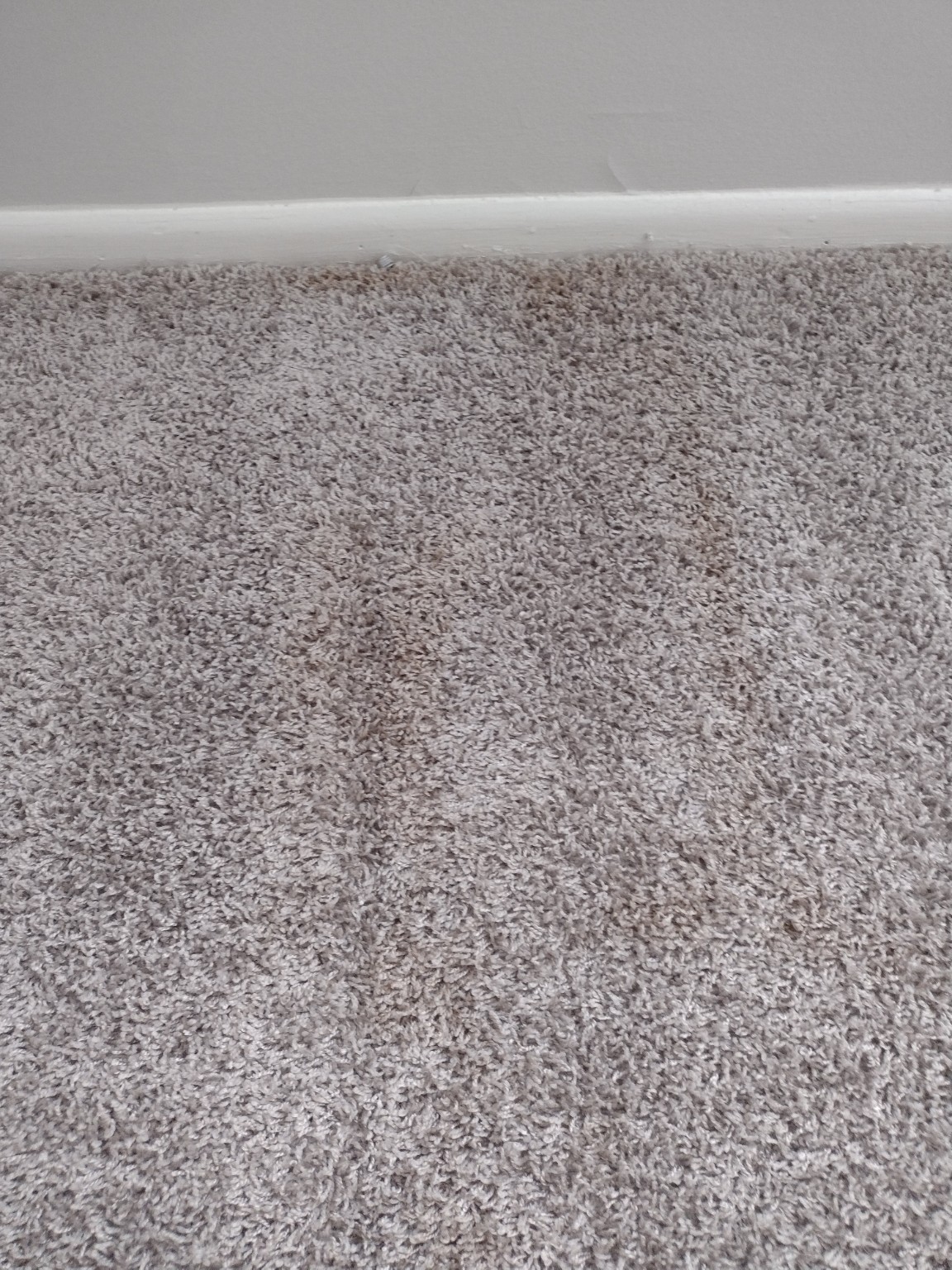 Carpet detail